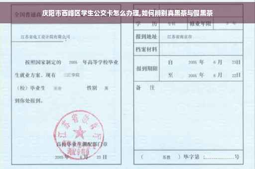 庆阳市西峰区学生公交卡怎么办理,如何辨别真黑茶与假黑茶