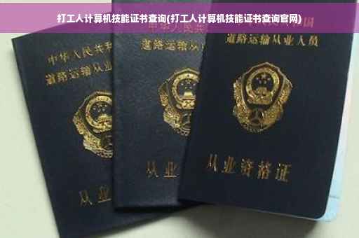 打工人计算机技能证书查询(打工人计算机技能证书查询官网)