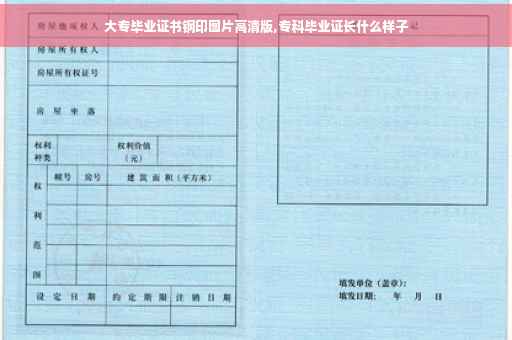 大专毕业证书钢印图片高清版,专科毕业证长什么样子