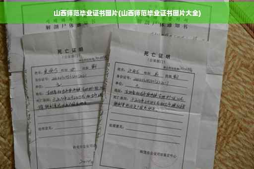 山西师范毕业证书图片(山西师范毕业证书图片大全)