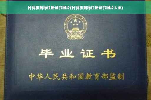 计算机商标注册证书图片(计算机商标注册证书图片大全)