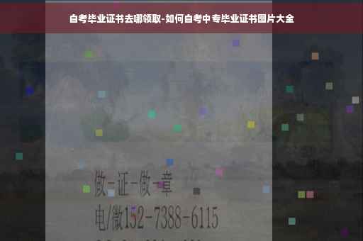 自考毕业证书去哪领取-如何自考中专毕业证书图片大全