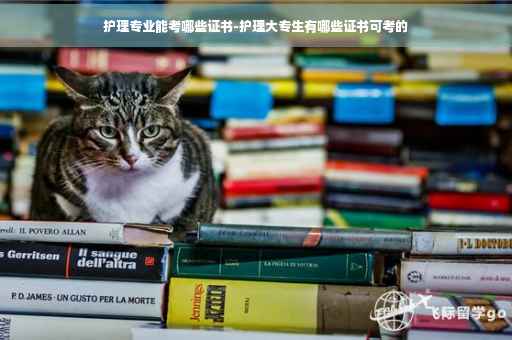 护理专业能考哪些证书-护理大专生有哪些证书可考的