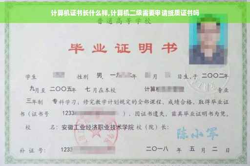 计算机证书长什么样,计算机二级需要申请纸质证书吗