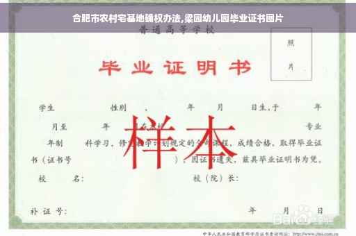 合肥市农村宅基地确权办法,梁园幼儿园毕业证书图片