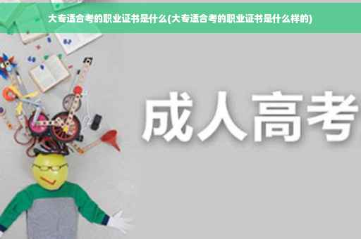 大专适合考的职业证书是什么(大专适合考的职业证书是什么样的)