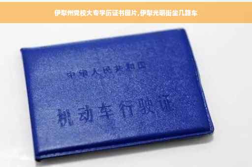 伊犁州党校大专学历证书图片,伊犁光明街坐几路车