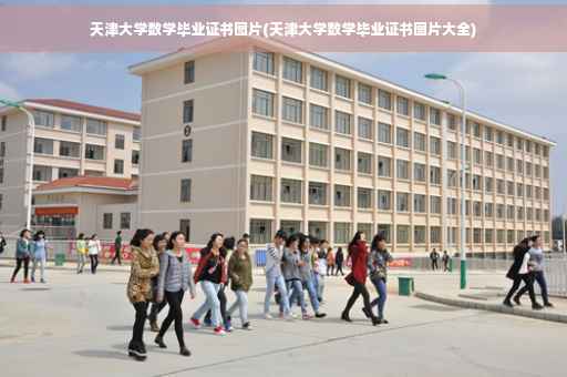 天津大学数学毕业证书图片(天津大学数学毕业证书图片大全)