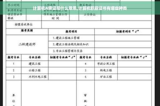 计算机A级证是什么意思,计算机职称证书有哪些种类