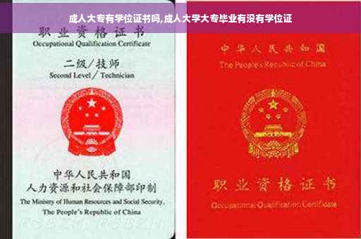 成人大专有学位证书吗,成人大学大专毕业有没有学位证