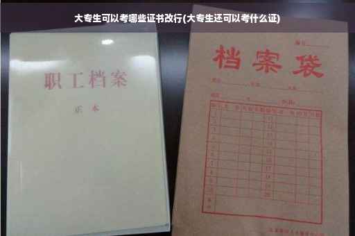 大专生可以考哪些证书改行(大专生还可以考什么证)