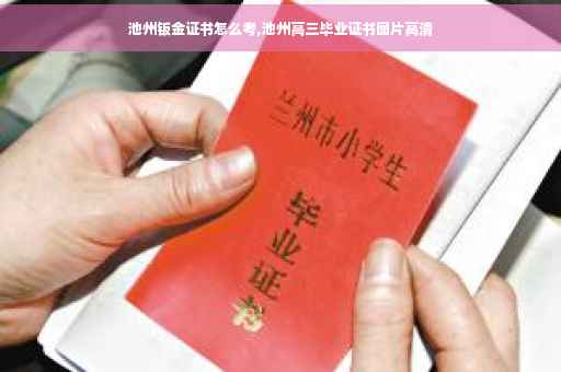 池州钣金证书怎么考,池州高三毕业证书图片高清