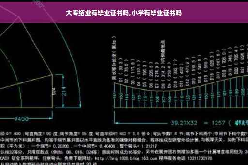 大专结业有毕业证书吗,小学有毕业证书吗