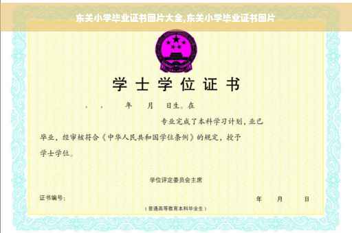 东关小学毕业证书图片大全,东关小学毕业证书图片