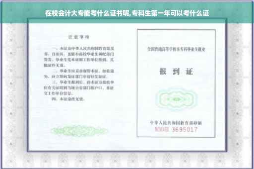 在校会计大专能考什么证书呢,专科生第一年可以考什么证
