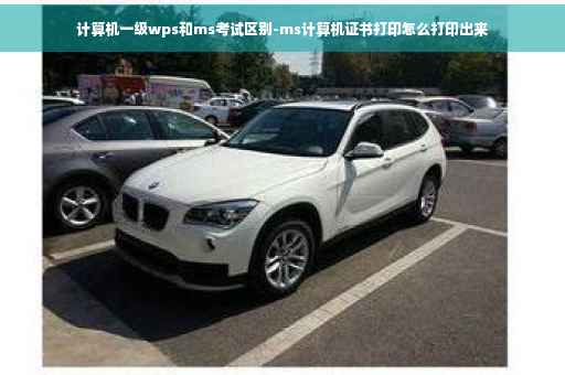 计算机一级wps和ms考试区别-ms计算机证书打印怎么打印出来