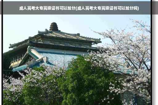 成人高考大专高级证书可以加分(成人高考大专高级证书可以加分吗)