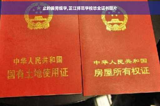 止的偏旁组字,芷江师范学校毕业证书图片