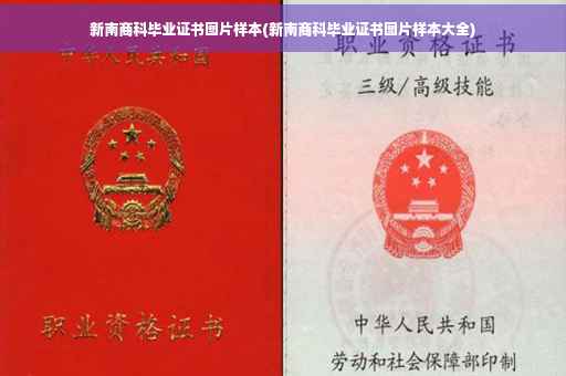 新南商科毕业证书图片样本(新南商科毕业证书图片样本大全)