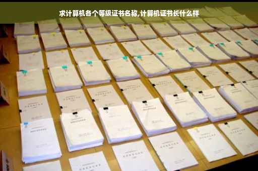 求计算机各个等级证书名称,计算机证书长什么样