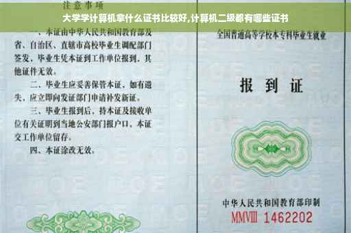 大学学计算机拿什么证书比较好,计算机二级都有哪些证书
