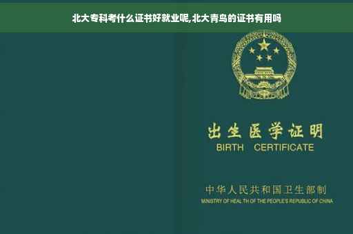 北大专科考什么证书好就业呢,北大青鸟的证书有用吗