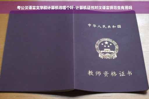 考公汉语言文学和计算机选哪个好-计算机证书对汉语言师范生有用吗