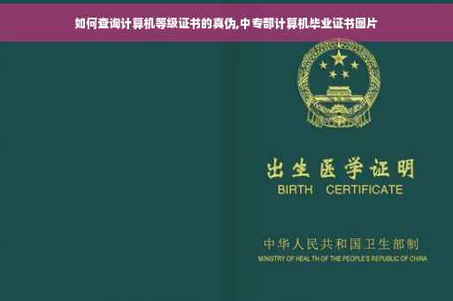 如何查询计算机等级证书的真伪,中专部计算机毕业证书图片