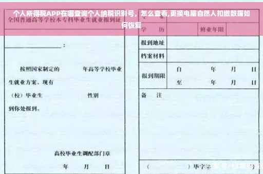 个人所得税APP在哪查询个人纳税识别号，怎么查看,更换电脑自然人扣缴数据如何恢复