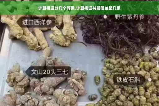 计算机证分几个等级,计算机证书最简单是几级
