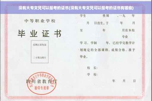 没有大专文凭可以报考的证书(没有大专文凭可以报考的证书有哪些)