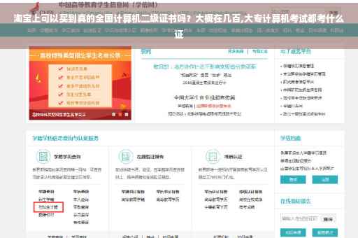 淘宝上可以买到真的全国计算机二级证书吗？大概在几百,大专计算机考试都考什么证