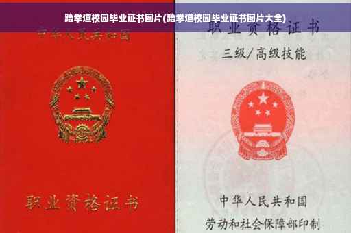 跆拳道校园毕业证书图片(跆拳道校园毕业证书图片大全)