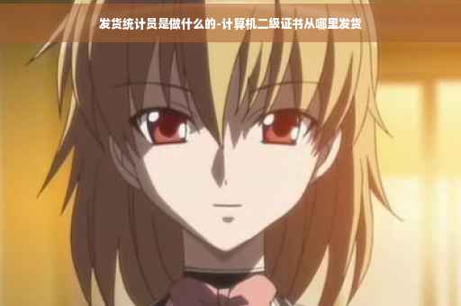 发货统计员是做什么的-计算机二级证书从哪里发货