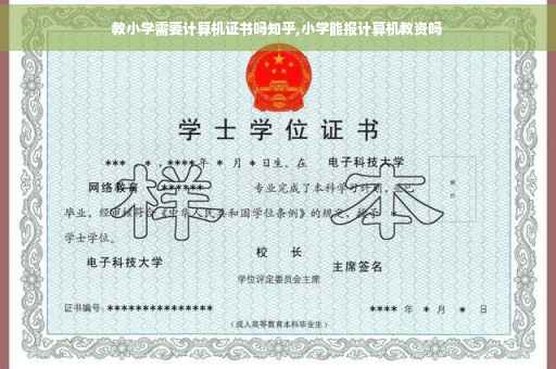 教小学需要计算机证书吗知乎,小学能报计算机教资吗