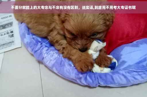 不要分就能上的大专念与不念有没有区别，说实话,到底用不用考大专证书呢