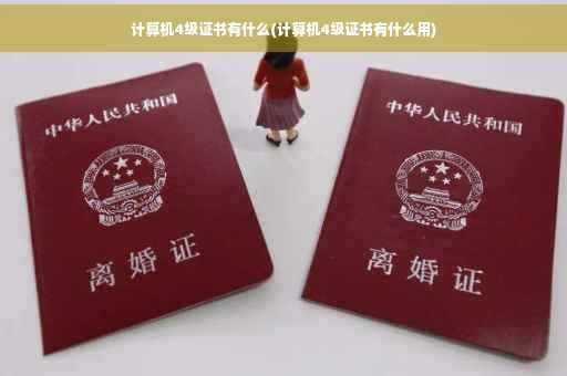 计算机4级证书有什么(计算机4级证书有什么用) 计算机4级证书有什么(计算机4级证书有什么用)