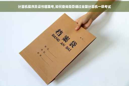 计算机程序员证书哪里考,如何查询是否通过全国计算机一级考试