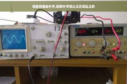 常德有哪些中学,阳明中学是公立还是私立的