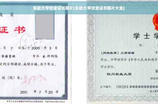 东软大学毕业证书图片(东软大学毕业证书图片大全)