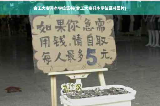 合工大专升本学位证书(合工大专升本学位证书图片)