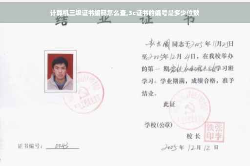 计算机三级证书编码怎么查,3c证书的编号是多少位数 计算机三级证书编码怎么查,3c证书的编号是多少位数