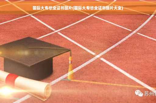 国际大专毕业证书图片(国际大专毕业证书图片大全)