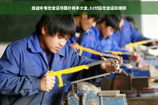 挂读中专毕业证书图片样本大全,32分段毕业证长啥样