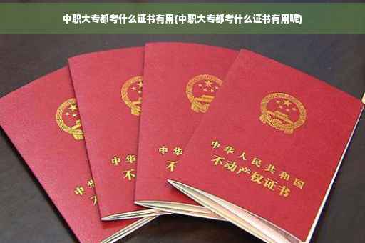 中职大专都考什么证书有用(中职大专都考什么证书有用呢)