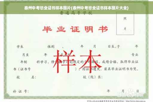 泰州中考毕业证书样本图片(泰州中考毕业证书样本图片大全)