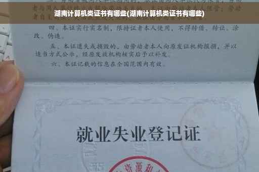 湖南计算机类证书有哪些(湖南计算机类证书有哪些)