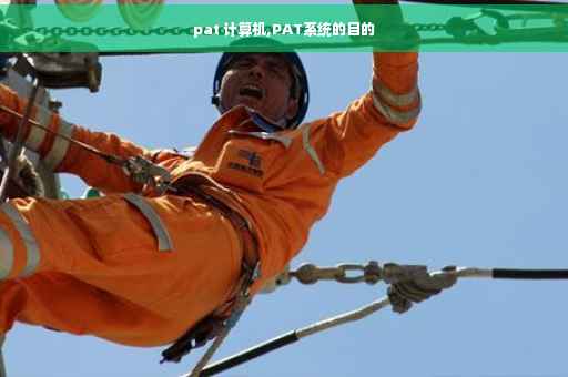pat 计算机,PAT系统的目的