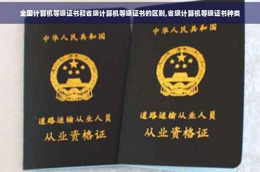 全国计算机等级证书和省级计算机等级证书的区别,省级计算机等级证书种类