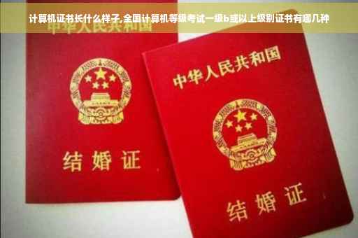 计算机证书长什么样子,全国计算机等级考试一级b或以上级别证书有哪几种